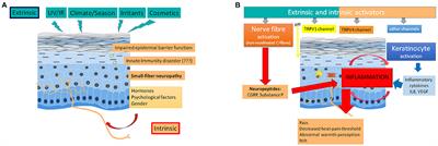 Sensitive Skin Syndrome: A Low-Noise Small-Fiber Neuropathy Related to Environmental Factors?